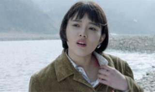 远方的山楂树无双楚青大结局 远方的山楂树结局