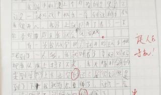 my school day五年级上册英文作文 五年级上册同步作文