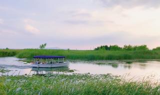 苏州太湖园博园和湿地公园哪个好玩 苏州太湖湿地公园