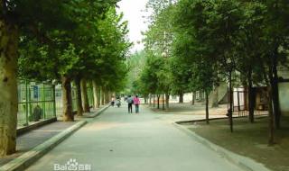 西安电力高等专科学校总学制 西安电力高等专科