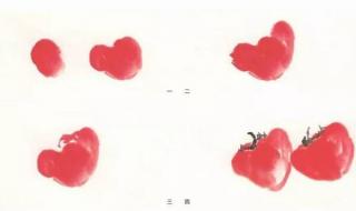 西西红柿{定值后叶子直往上长 天天向上我吃西红柿