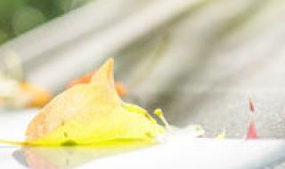 一女的微信头像一直是个骷髅头,突然一下换成自己的真人头像了!意味着什么呢 骷髅人头像