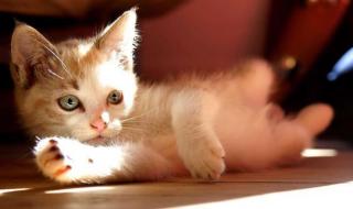 打完宫颈癌疫苗可以洗澡吗 打完疫苗可以洗澡么