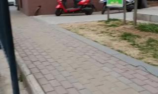 小年下雪会不会有倒春寒 小年下雪有什么预兆