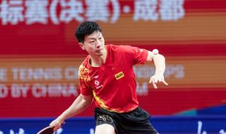 2013世乒赛男团冠军 26届世乒赛冠亚军决赛